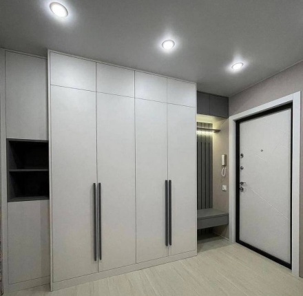 Встроенный распашной шкаф в прихожую с высокими фасадами МАГ МЕБЕЛЬ